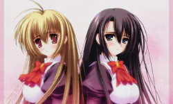 Featured image of post Девушка влюбилась в старшую сестру [ТВ]