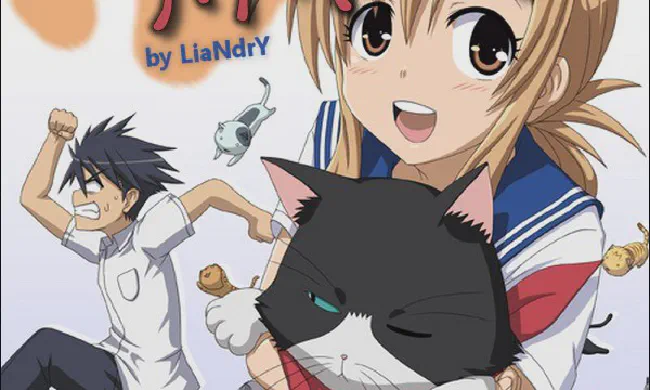 Featured image of post Кошачьи Прихоти!