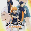 Волейбол!! [ТВ-4]